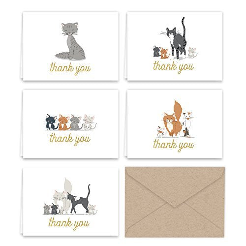 Kittens and Kitty Cats Thank You Note Card Collection