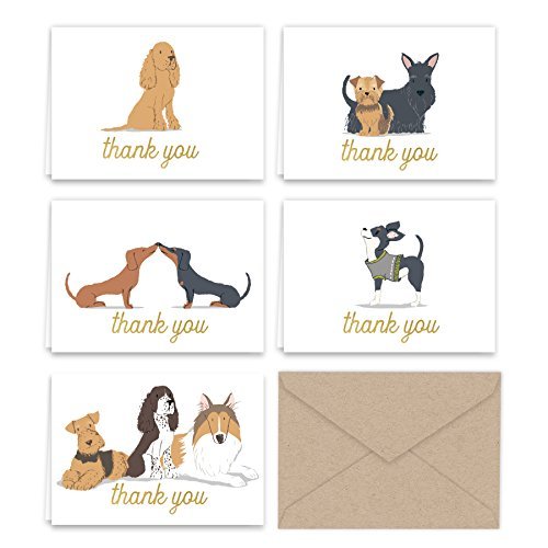 Dogs Puppies Thank You Note Card Collection